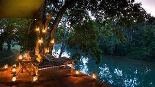 Kanha Honeymoon Tour